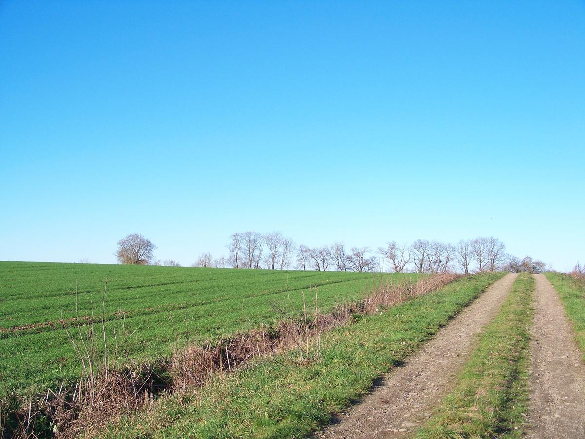La Genoise Bed and Breakfast Tillieres Exterior foto